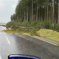baum_b20_sturm_sabine.jpg